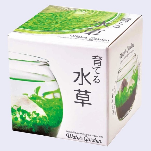 Accents Nwt Nib Water Garden Plant Aquarium Tranquil Calming Poshmark